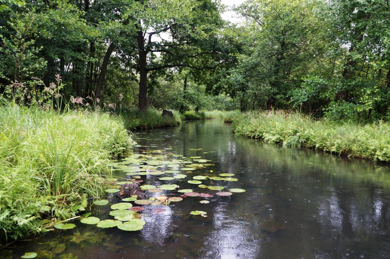 Blugarden Ferienapartments Im Spreewald ลึบเบิน ภายนอก รูปภาพ